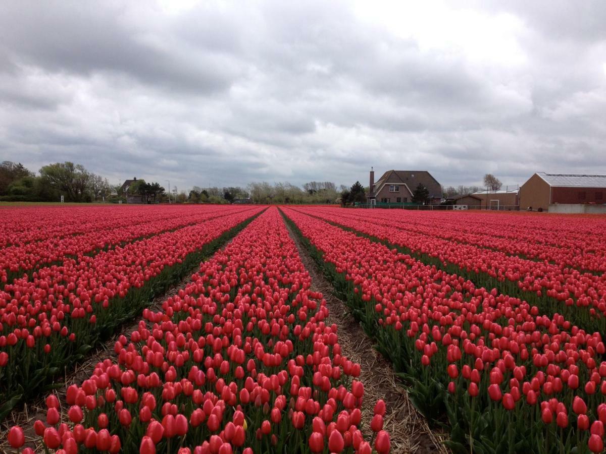 Zomerhuisje Bij Zee เอ็กมอนด์อานเซ ภายนอก รูปภาพ
